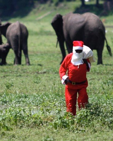 Tradiciones Navideñas en África: Un Mosaico de Celebraciones - LamuBrand